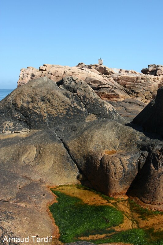 001408 Bretagne - L'Ile de Bréhat - Le Phare du Paon blog