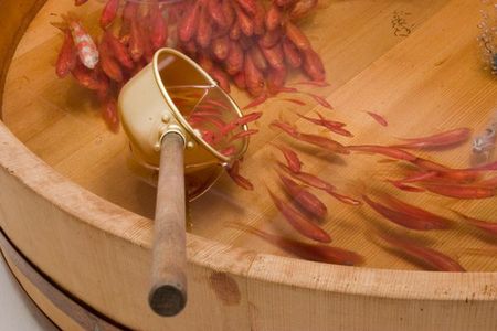 Riusuke-Fukahori-3D-Fish-Paintings-1-1