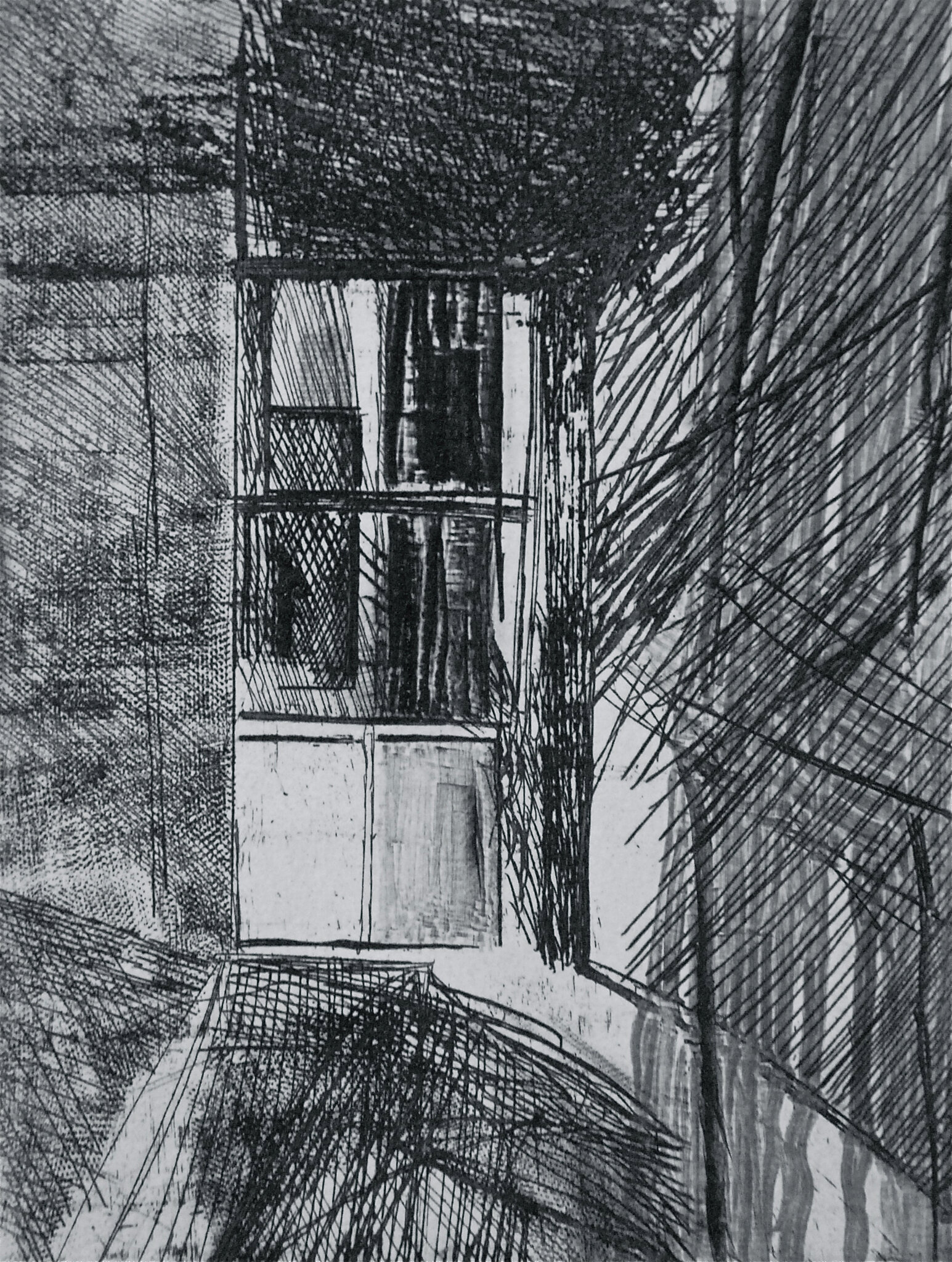 BG1_0286