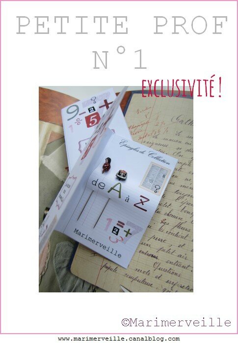 Marimerveille épingles petite prof 1