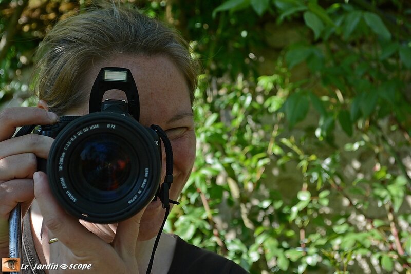 Malo-photographe