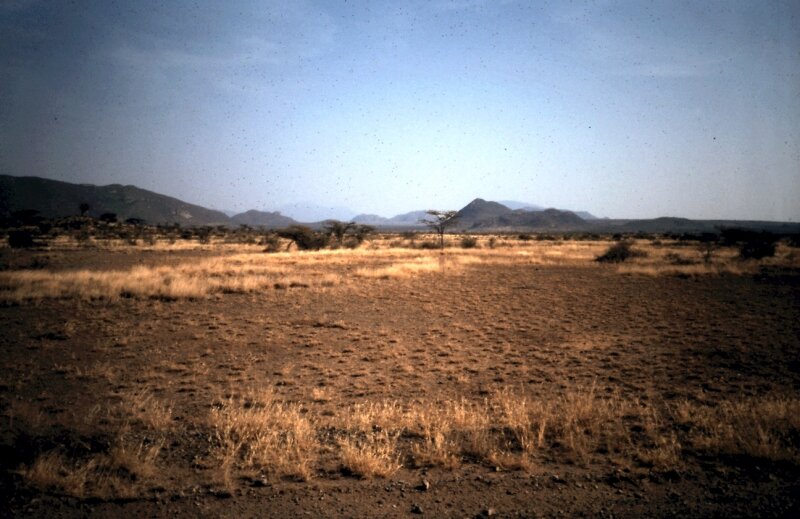 tanzanie 06