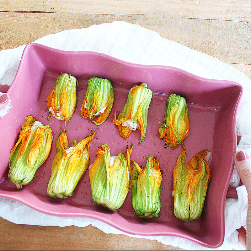 Fleurs Courgettes 4