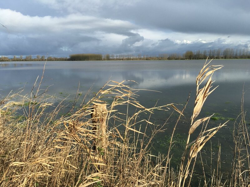 marais Sougeal inondation crue 14 février 2016