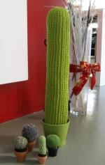 cactus geant au tricot