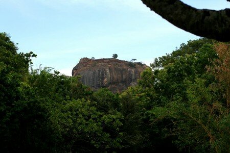Le_lion_de_Sigiriya