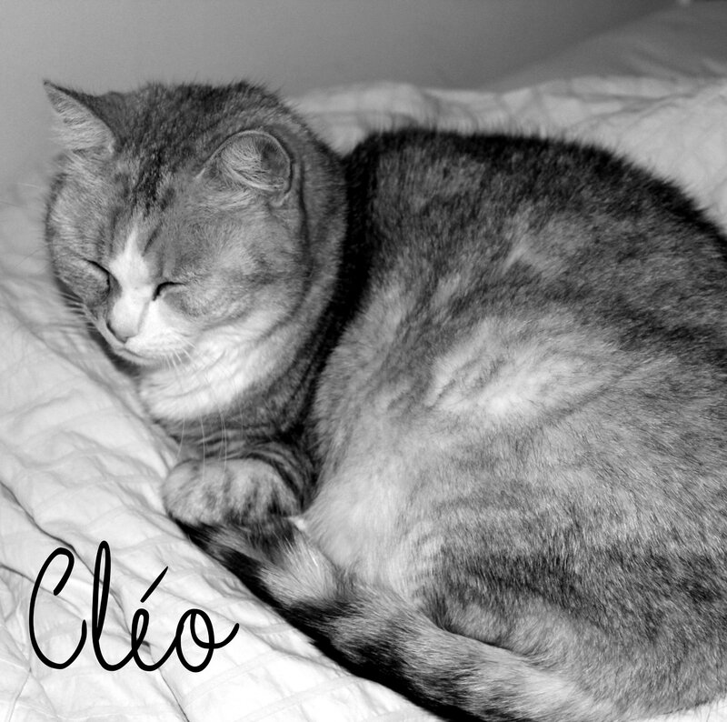 Cleo