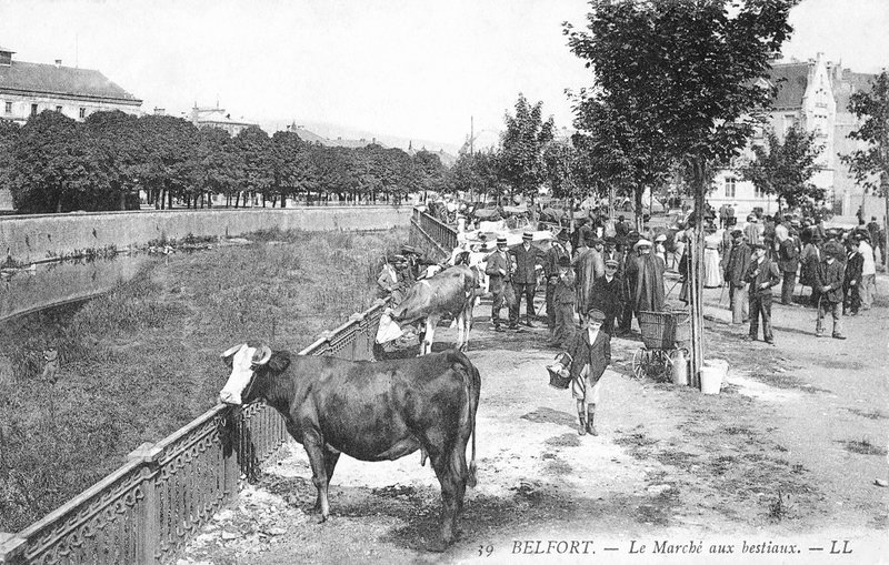 CPA Belfort Champ de Foire 1905-08