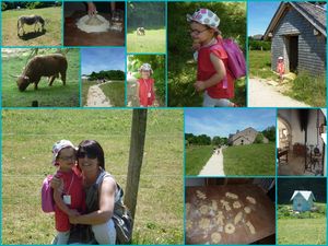 FERMES_COMTOISE_230520113