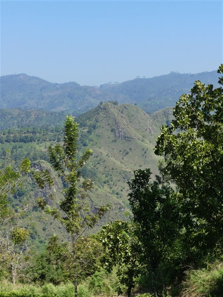 P1270378