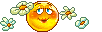 62913753_p