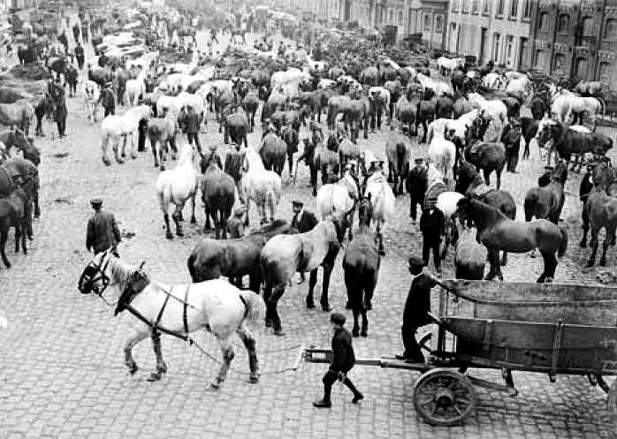 Chevaux réquisitionnés