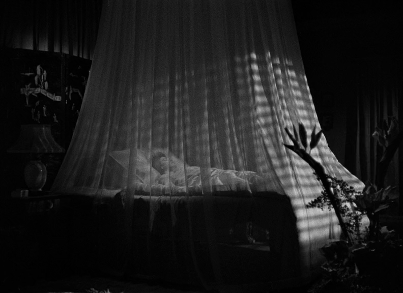 vlcsnap-2022-06-10-13h54m54s003