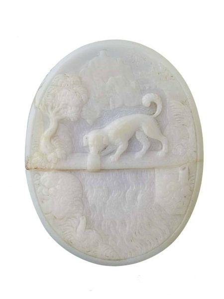 Cameo---Aesop's-Fable-Dog-a