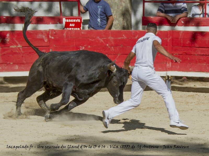 montfrin le 13 04 201420140414000869