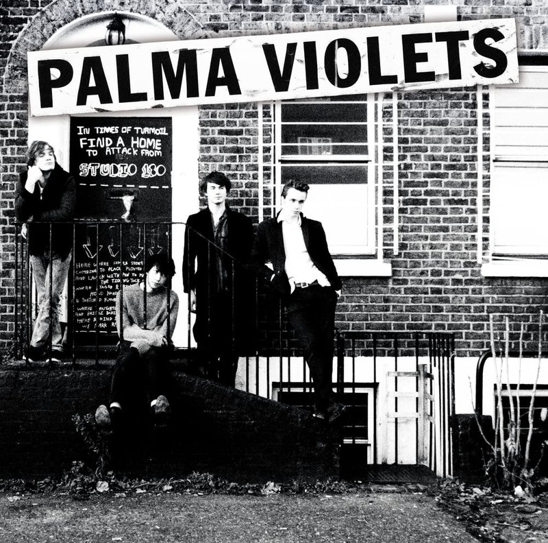 Palma violets - 1802