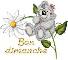dimanche ours