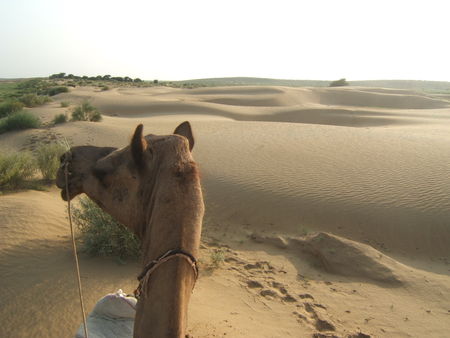 Jaisalmer__93_