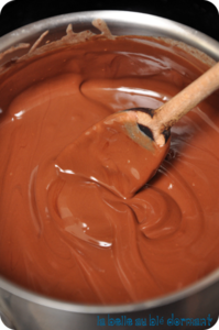 Pate a tartiner4