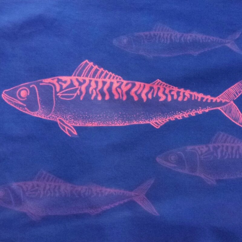 cyanotype poisson 5