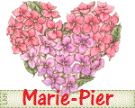 merci Marie-Pier