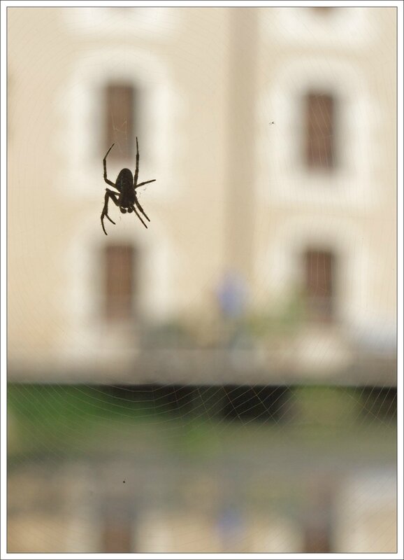 Roussille araignee moulin 6 270714