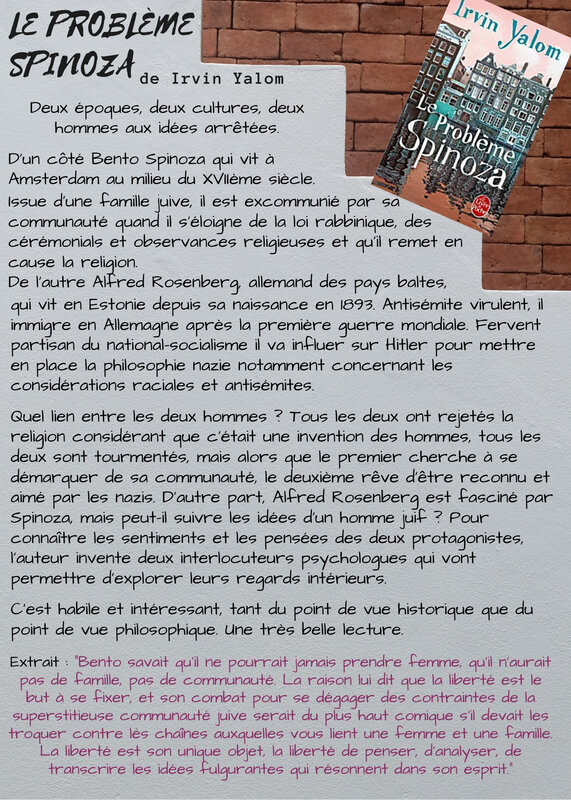 le problème spinoza
