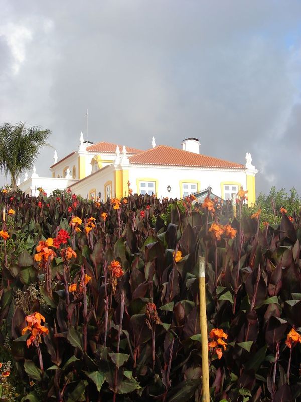 DSC01175_L_orangeraie_est_pleine_de_cannas_en_fleur