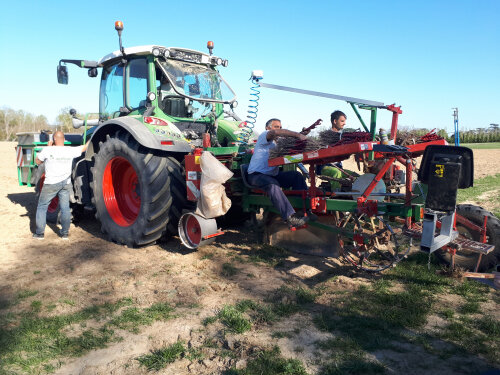 123-XL-vin-et-rechauffement-climatique-un-vignoble-pour-la-viticulture-de-demain