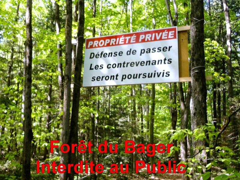 Forêt Interdite