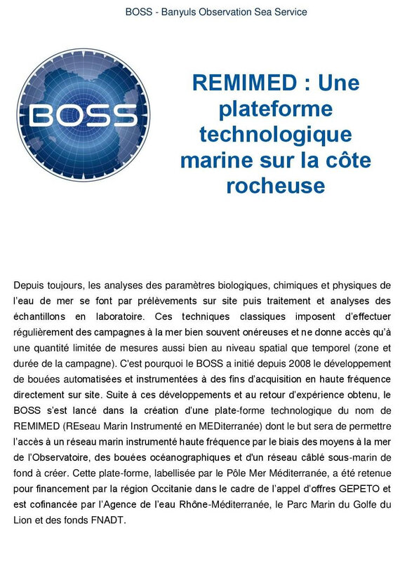Boss-page-001