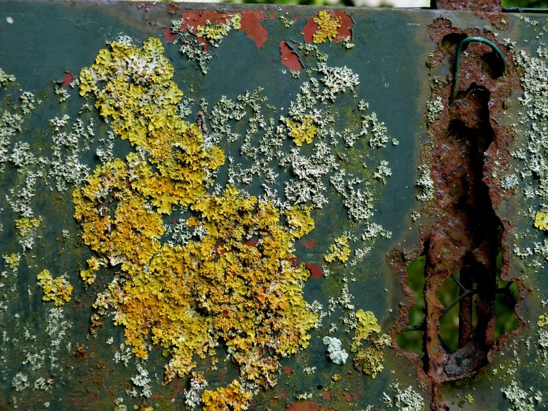 Couleur d'automne