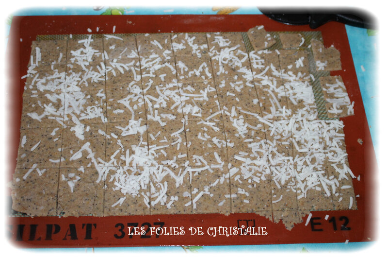 Crackers fromage 6