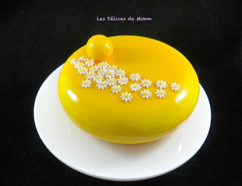 Entremets Soleil de Malibu 5