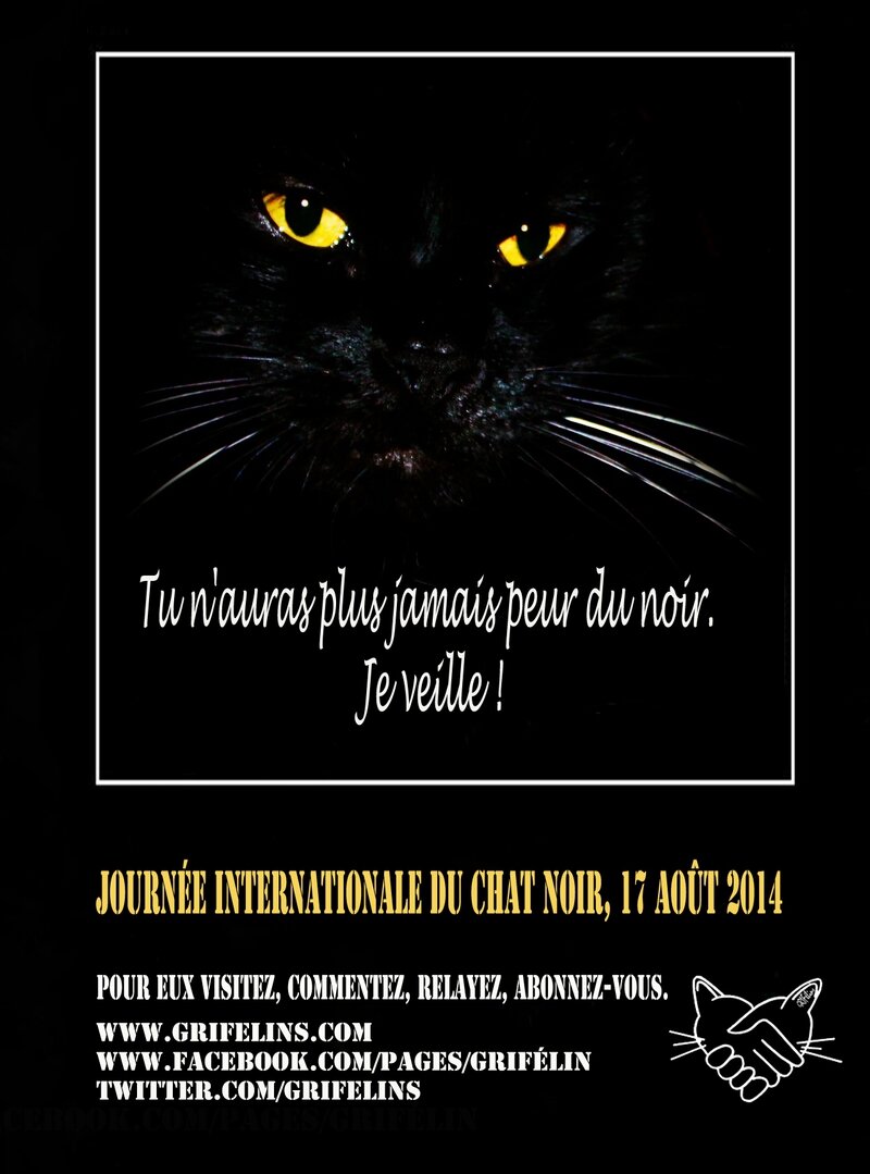 BlackCatDay2014