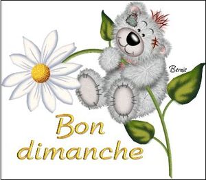 bon dimanche 1