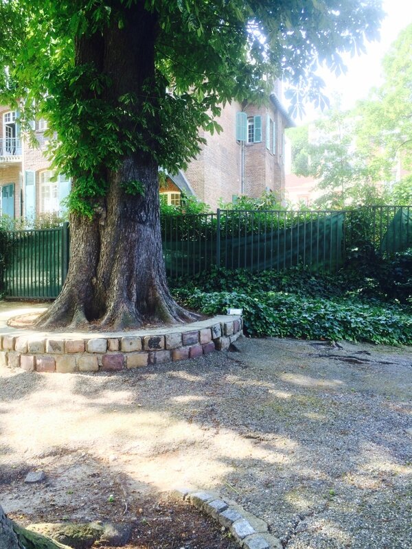 bookcrossing 4