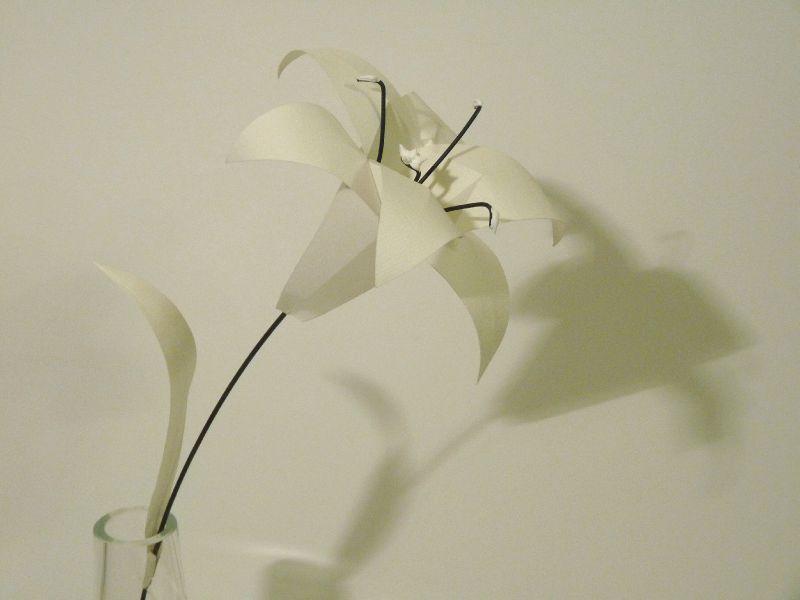 Lys de papier