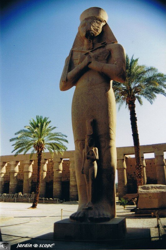 Amon et son épouse Mout