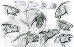 AngusExp_ExpressionDrawings_MNolte_Graphite_2005