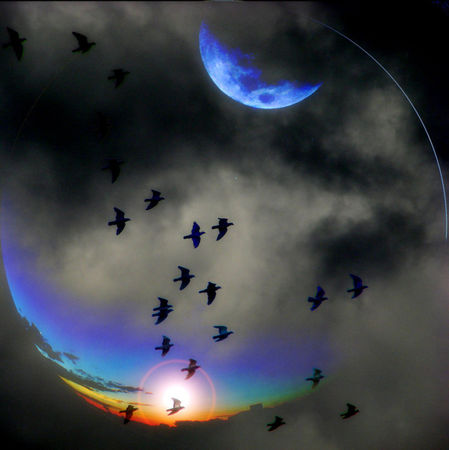 Les_oiseaux_de_la_tristesse