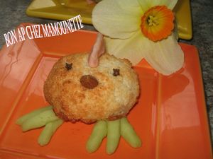 Copie_de_Cocottes___la_noix_de_coco__dr_les_de_bestioles_quand_m_me_013