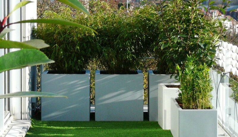 Paravent-vegetal-pour-une-terrasse-intime_width1024