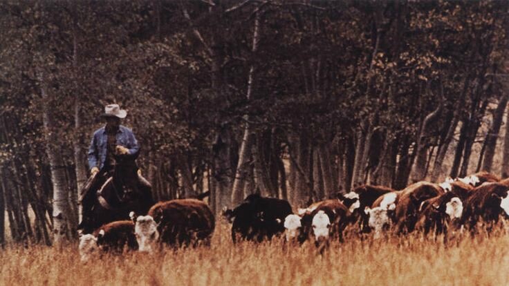 Richard Prince, Cowboy series, 1986