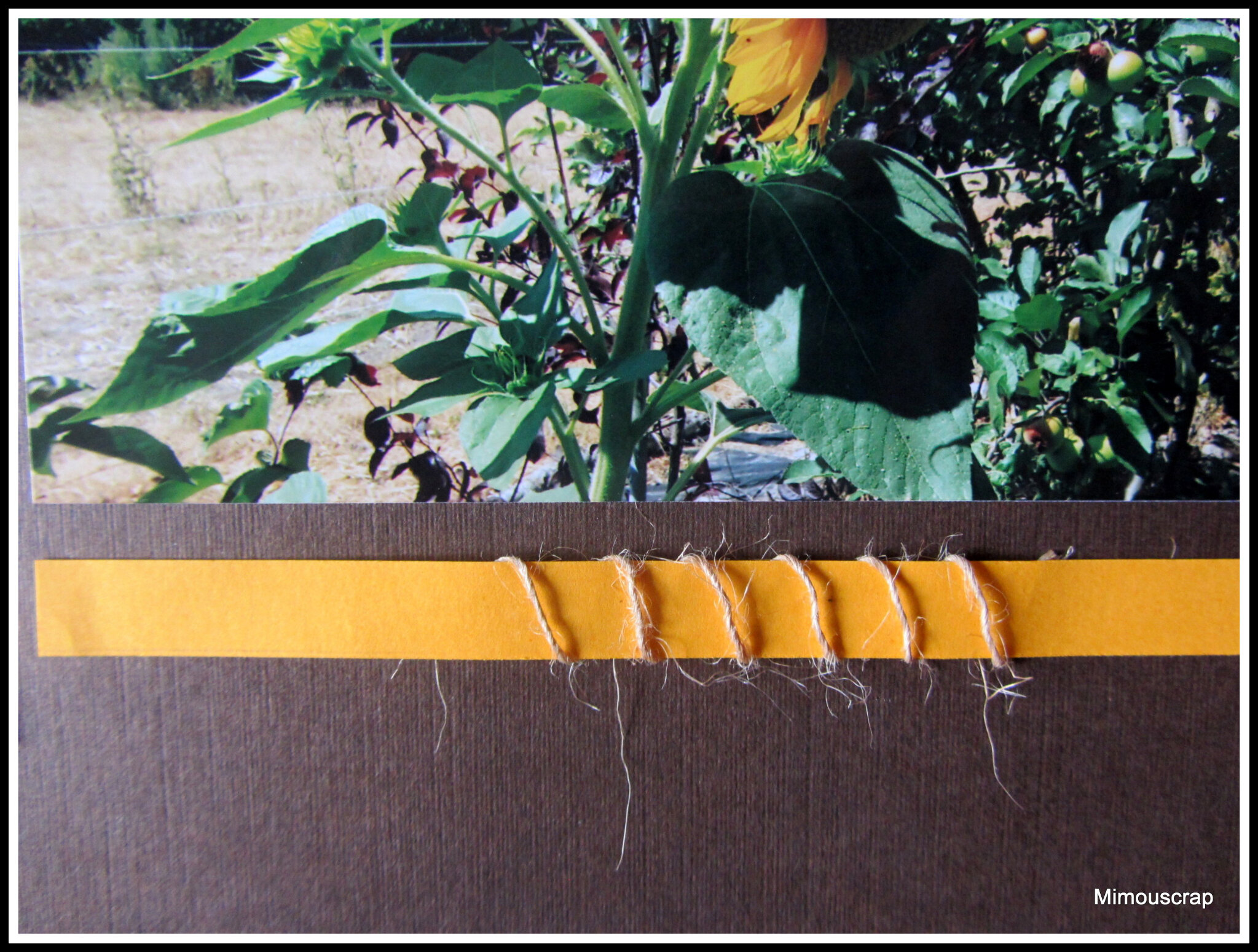 Jardin 2016 076