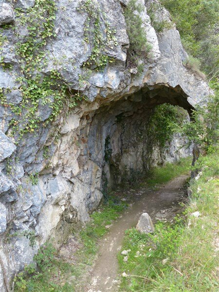 P1000926