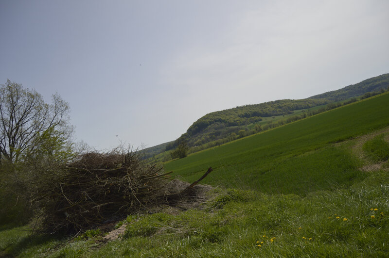 _DSC0089