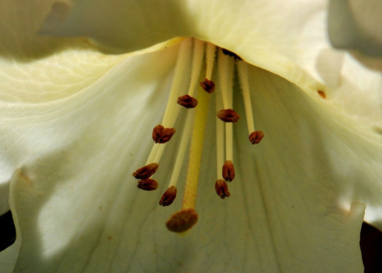 HD3_5967-1
