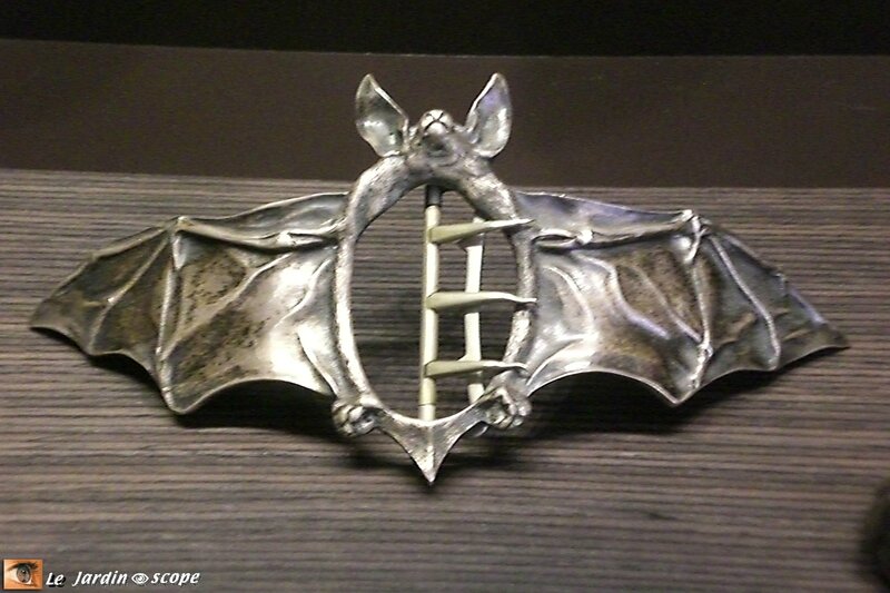 Chauve-souris
