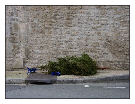 sapin_trottoir